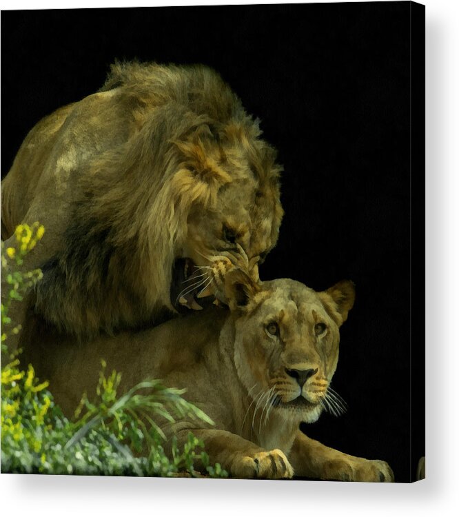 Africa Acrylic Print featuring the digital art Call of the Wild 2 by Ernest Echols
