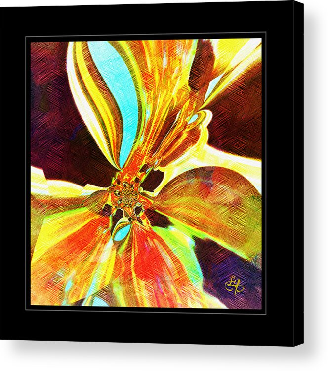 Fruit Acrylic Print featuring the digital art Cantaloupe Abstract by Lynda Payton