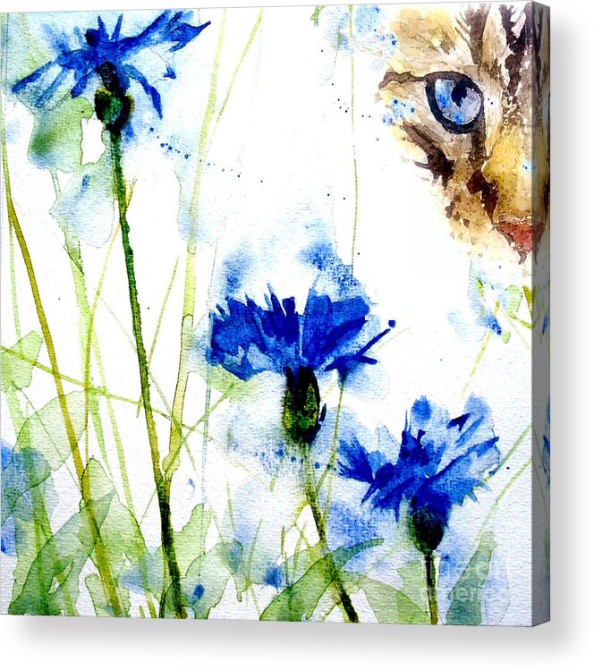 Tabby Acrylic Print featuring the painting Cat in the cornflowers by Paul Lovering