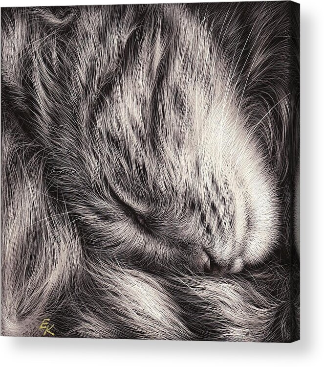 Cat Acrylic Print featuring the mixed media Cat nap by Elena Kolotusha