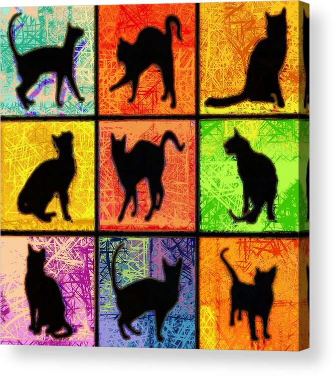Cat Acrylic Print featuring the digital art Cat Squares Abstract by David G Paul