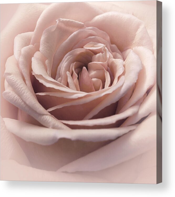 Floral Acrylic Print featuring the photograph Cherry Vanilla Sundae by Darlene Kwiatkowski