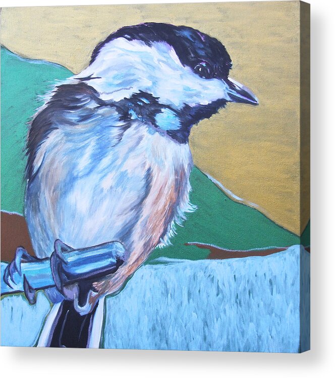 Bird Acrylic Print featuring the painting Chicadee by Jamie Downs