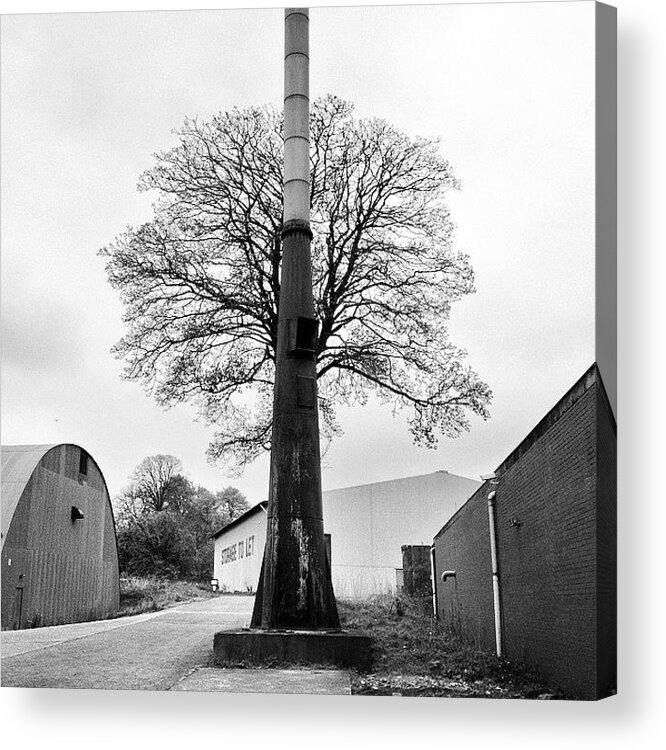 Instagramopolis Acrylic Print featuring the photograph Chimney Tree by Carlos Macia Perez