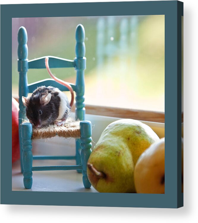 Mouse Acrylic Print featuring the photograph Clara's Favorite Chair by Theresa Tahara