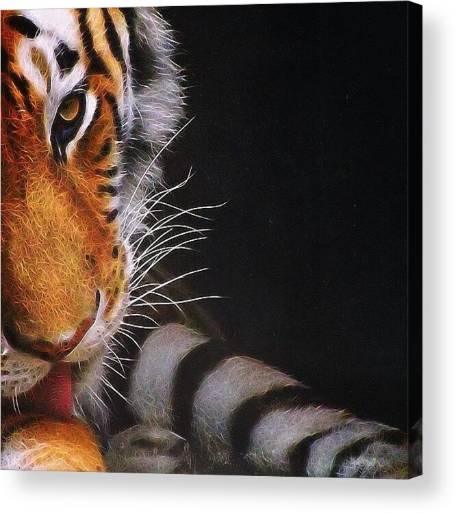 Ohiogram Acrylic Print featuring the photograph #cleveland #zoo #metroparkszoo by Pete Michaud