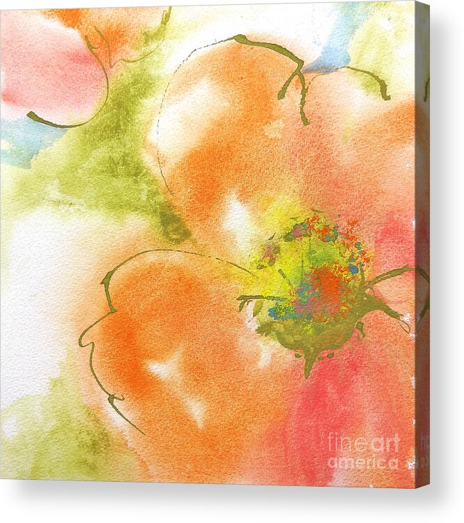 Watercolors Acrylic Print featuring the painting Coral Poppy I by Chris Paschke