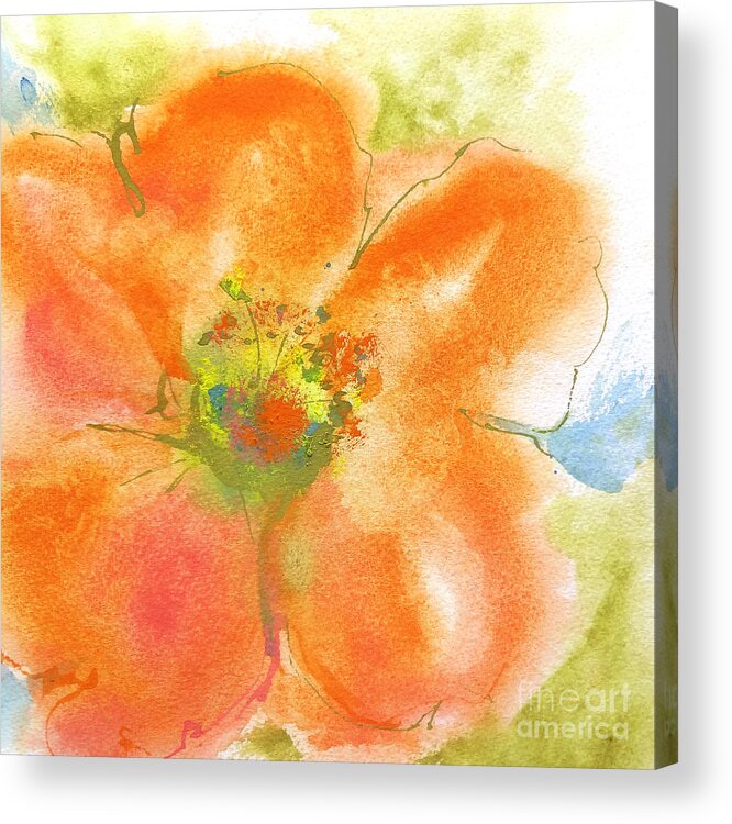 Original Watercolors Acrylic Print featuring the painting Coral Poppy II by Chris Paschke