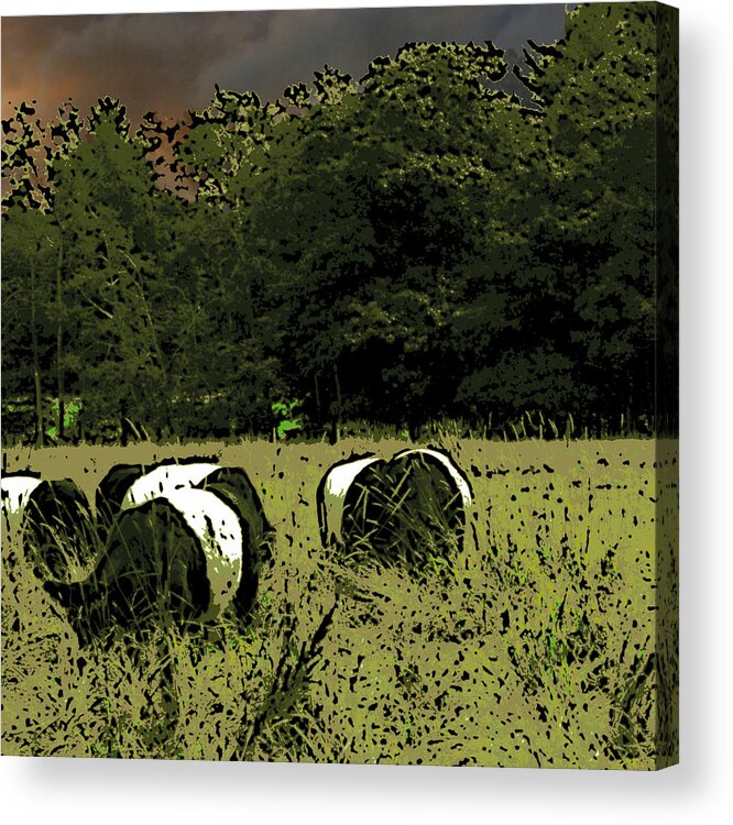 Cows Acrylic Print featuring the mixed media Cows Under a Threatening Sky by Ann Tracy