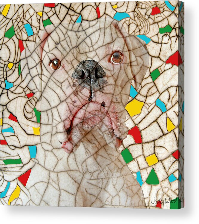 Dog Acrylic Print featuring the digital art Crazed by Judy Wood
