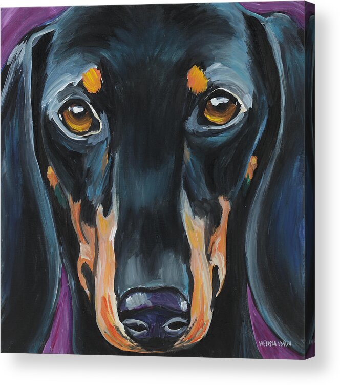 Dachshund Acrylic Print featuring the painting Dachshund by Melissa Smith