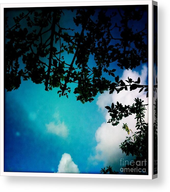 Sky Acrylic Print featuring the photograph Dappled Sky by Denise Railey