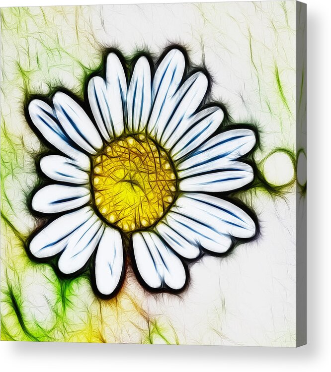 Daisy Acrylic Print featuring the digital art Darlin' Daisy by Beth Venner