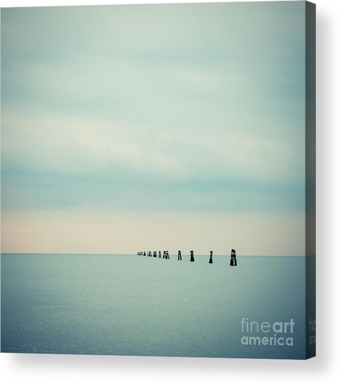 1x1 Acrylic Print featuring the photograph Dolphin by Hannes Cmarits