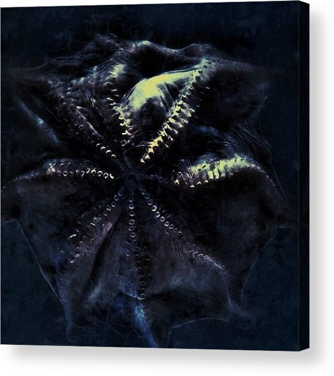 Beautiful Acrylic Print featuring the photograph Dot

#aquarium #bw #blue #beautiful by Moto Jp