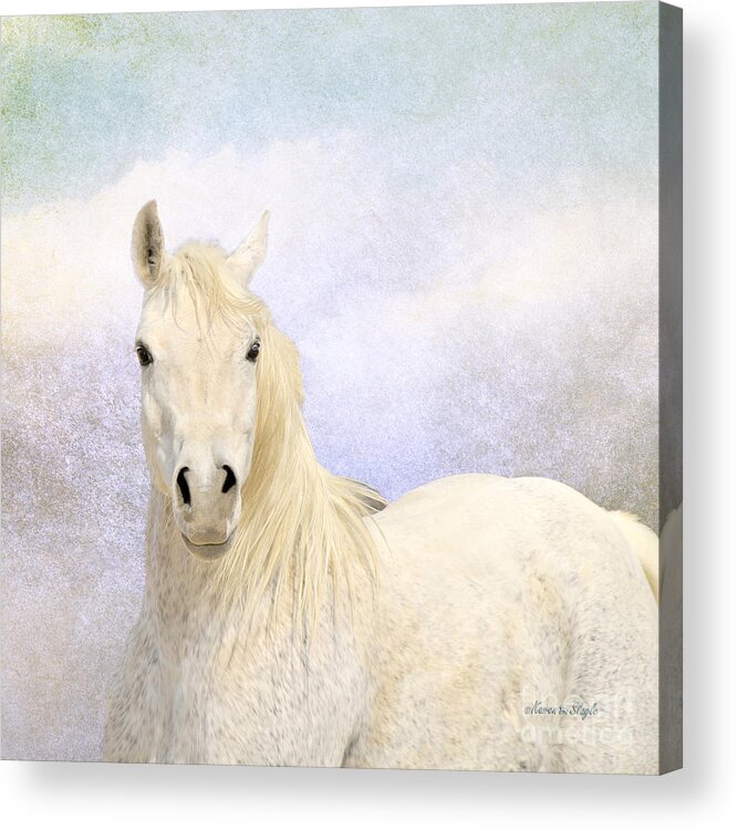 Horse Acrylic Print featuring the photograph Dream Horse by Karen Slagle