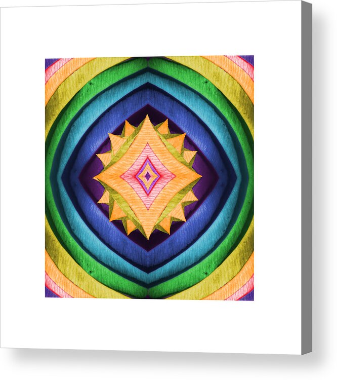 Abstract Acrylic Print featuring the photograph Dreamcatcher 3 by Deborah Smith