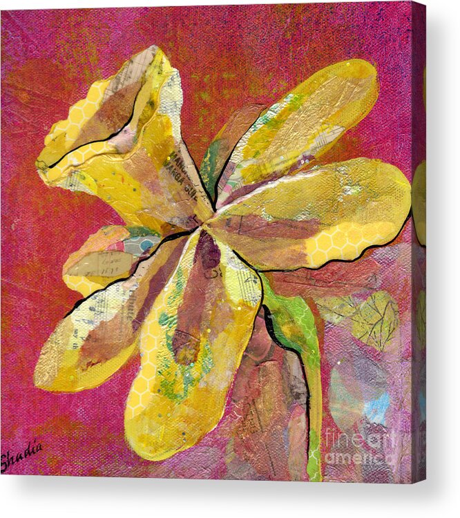 Flower Paintings Acrylic Print featuring the painting Early Spring II Daffodil Series by Shadia Derbyshire
