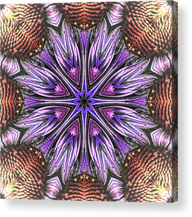 Mandala Acrylic Print featuring the photograph Echinacea Flower Mandala by Beth Sawickie