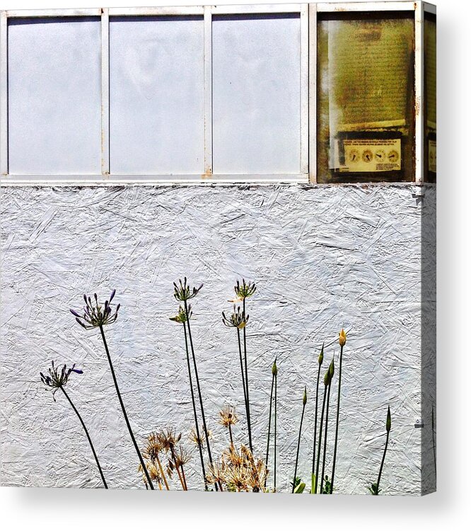 White Wall Acrylic Print featuring the photograph Faded Flowers by Julie Gebhardt