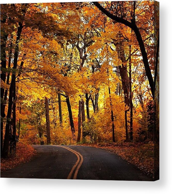 Minnesota Acrylic Print featuring the photograph Fall in Minnesota by Hermes Fine Art