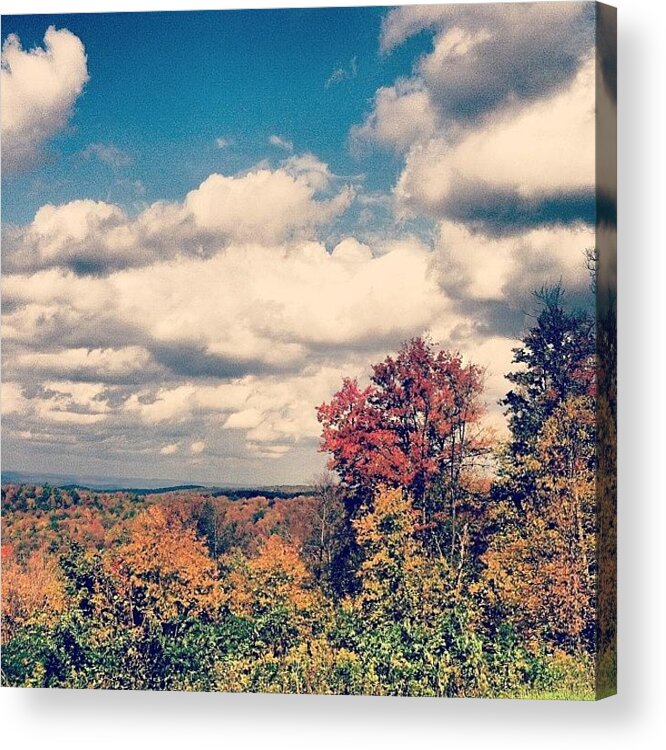  Acrylic Print featuring the photograph Fall In Wny by Courtney Blackmon