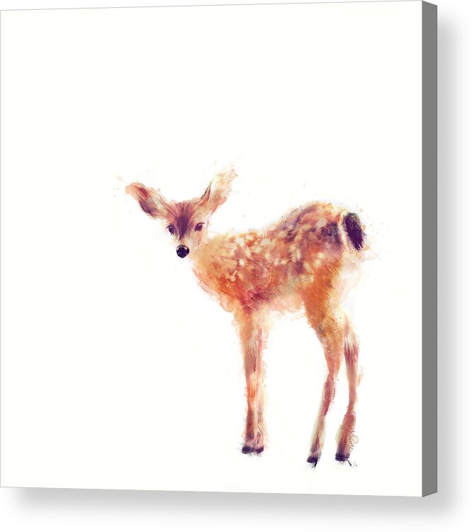 Fawn Acrylic Print featuring the painting Fawn by Amy Hamilton