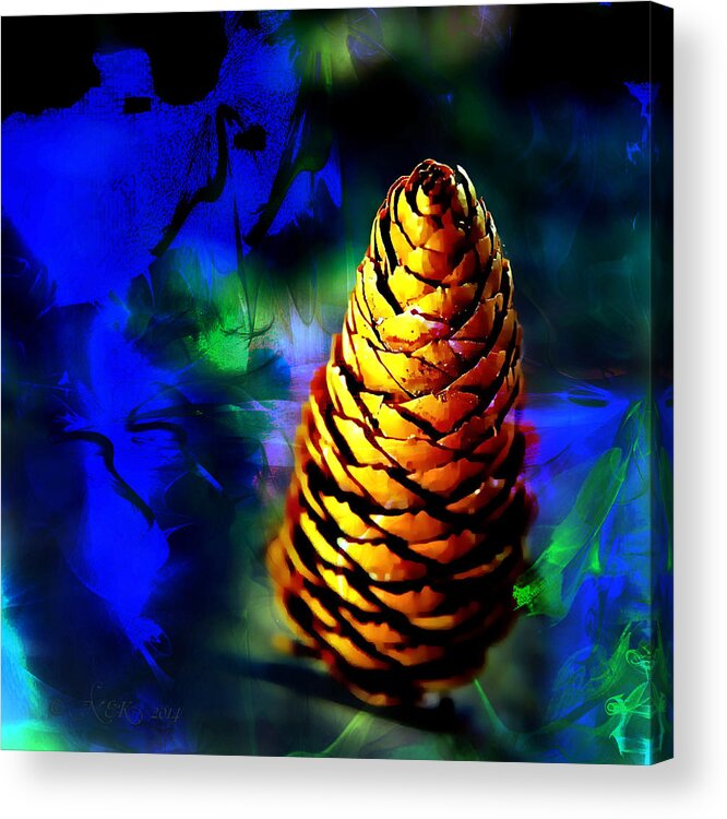 Fir Cone Acrylic Print featuring the photograph Fir Cone by Nick Kloepping
