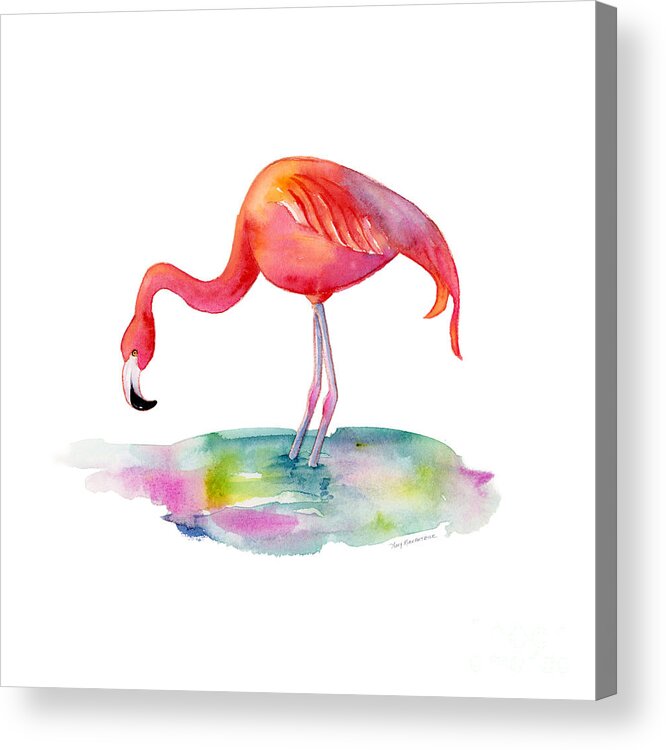 Flamingo Acrylic Print featuring the painting Flamingo Dip by Amy Kirkpatrick