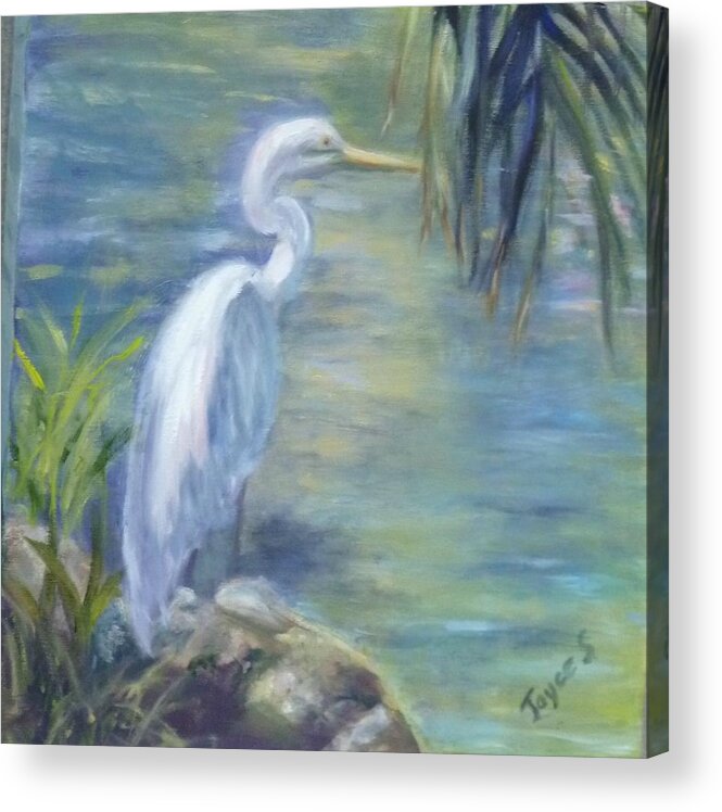 Egret Acrylic Print featuring the painting Florida Keys Egret by Joyce Spencer