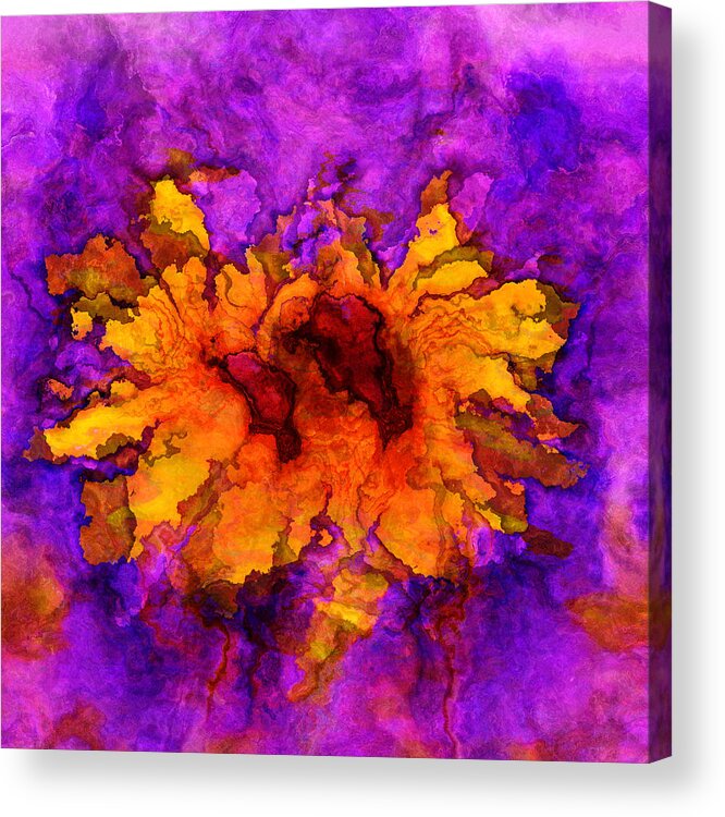 Purple Acrylic Print featuring the photograph Floro - 45b by Variance Collections