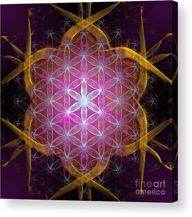 Metatron Acrylic Print featuring the digital art Flower of life no three by Alexa Szlavics