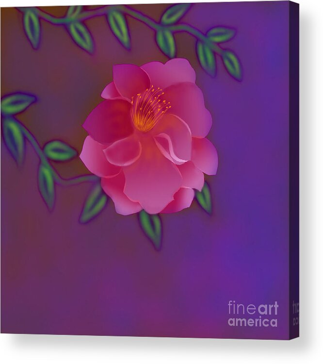 Pink Flower Acrylic Print featuring the digital art Fragrance by Latha Gokuldas Panicker
