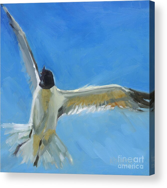 Seagull Acrylic Print featuring the painting Freedom's Song-NA by Nancy Parsons