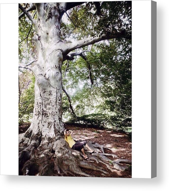 Ig_honours Acrylic Print featuring the photograph friendship Is A Sheltering Tree. by Natasha Marco