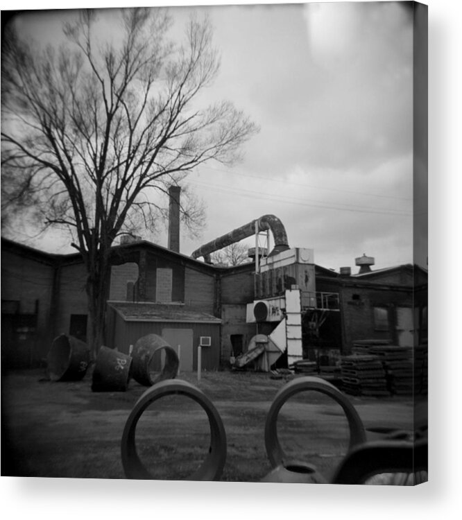 Frog Acrylic Print featuring the photograph Frog Switch Yard by Jean Macaluso