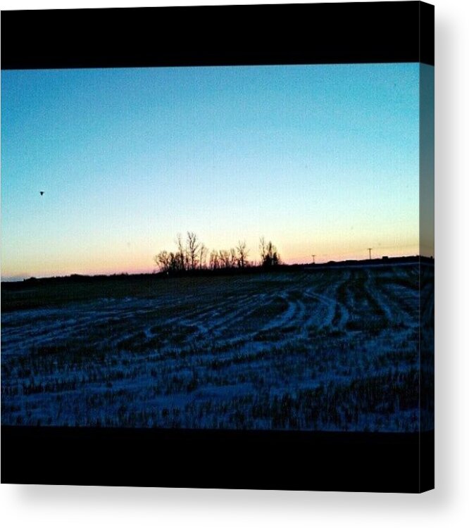 Saskatchewan Acrylic Print featuring the photograph From The Morning #drive #sk #sask by Trenton Entwistle