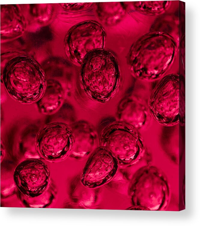 Red Acrylic Print featuring the photograph Frozen in Time Red by Scott Campbell