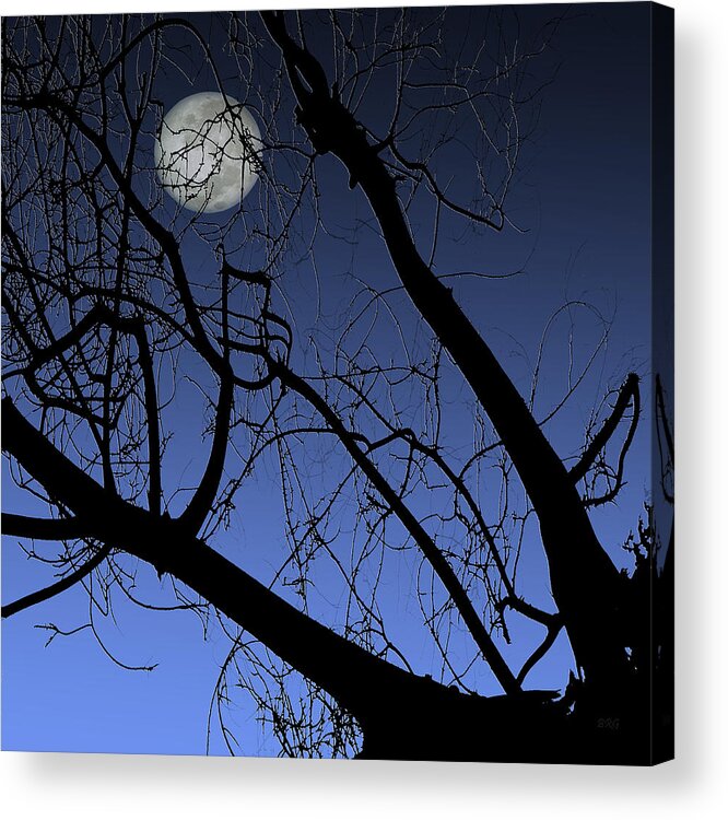 Tree Top Acrylic Print featuring the photograph Full Moon And Black Winter Tree by Ben and Raisa Gertsberg