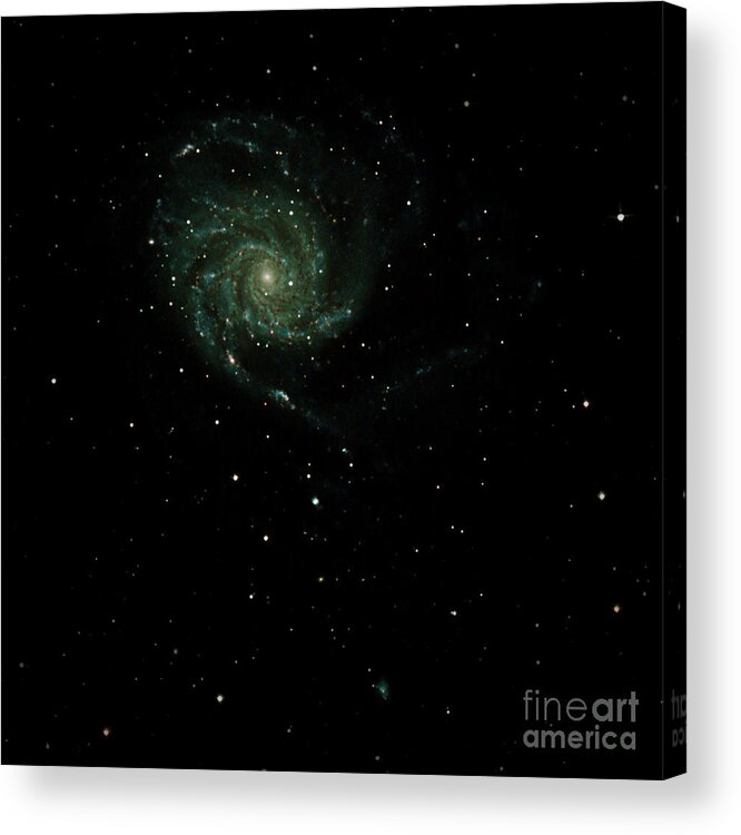 Fine Art Photography Acrylic Print featuring the photograph Galaxy M101 by Chuck Caramella