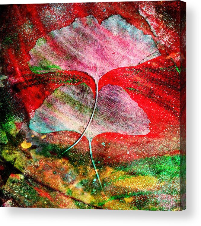 Ginkgo Leaves - Gustavo Scheverin Acrylic Print featuring the photograph Ginkgo Leaves by Gustavo Scheverin