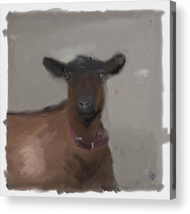 Pennington Acrylic Print featuring the digital art Goat by George Pennington