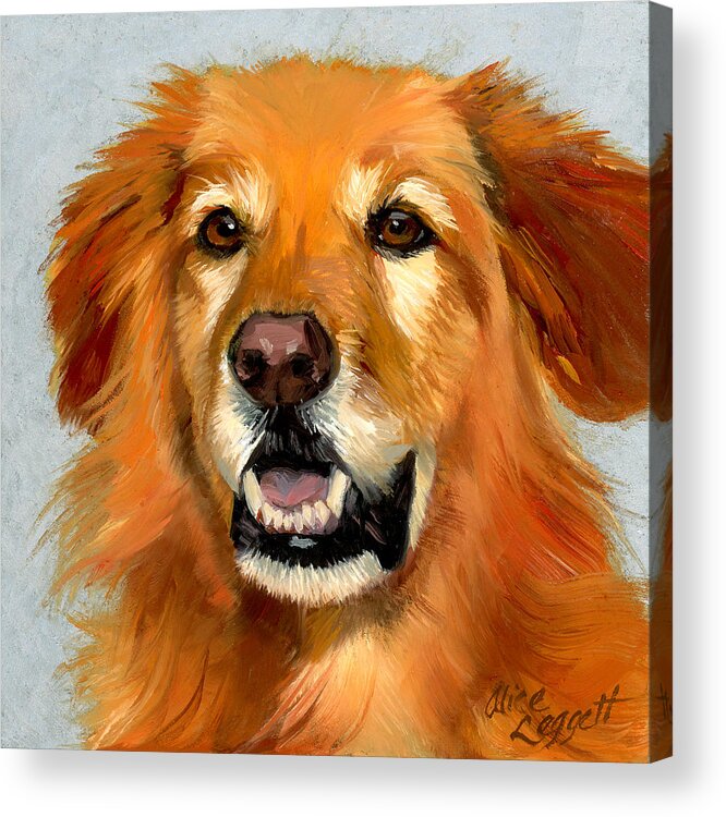 Golden Retriever Acrylic Print featuring the painting Golden Retriever Dog by Alice Leggett