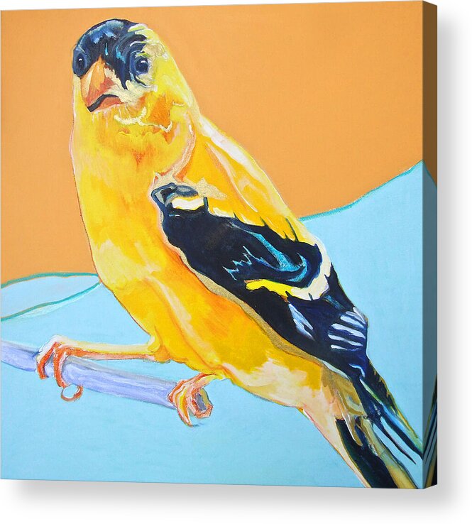 Birds Acrylic Print featuring the painting Goldfinch by Jamie Downs