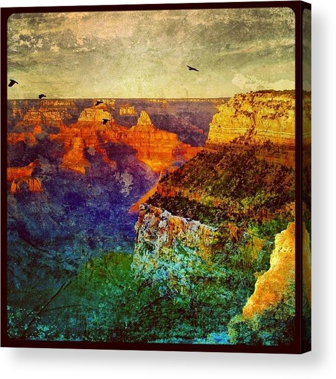 Beautiful Acrylic Print featuring the photograph Grand Canyon by Jill Battaglia