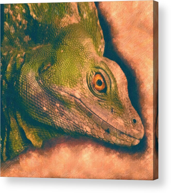 Green Basilisk Lizard Acrylic Print featuring the painting Green Basilisk Lizard by MotionAge Designs