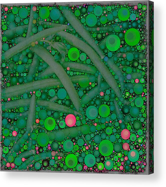 Circles Acrylic Print featuring the digital art Green Beans by Dorian Hill