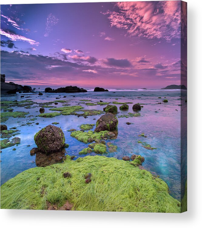Scenics Acrylic Print featuring the photograph Green Moss Covered Rocks At Sunrise by Andreluu