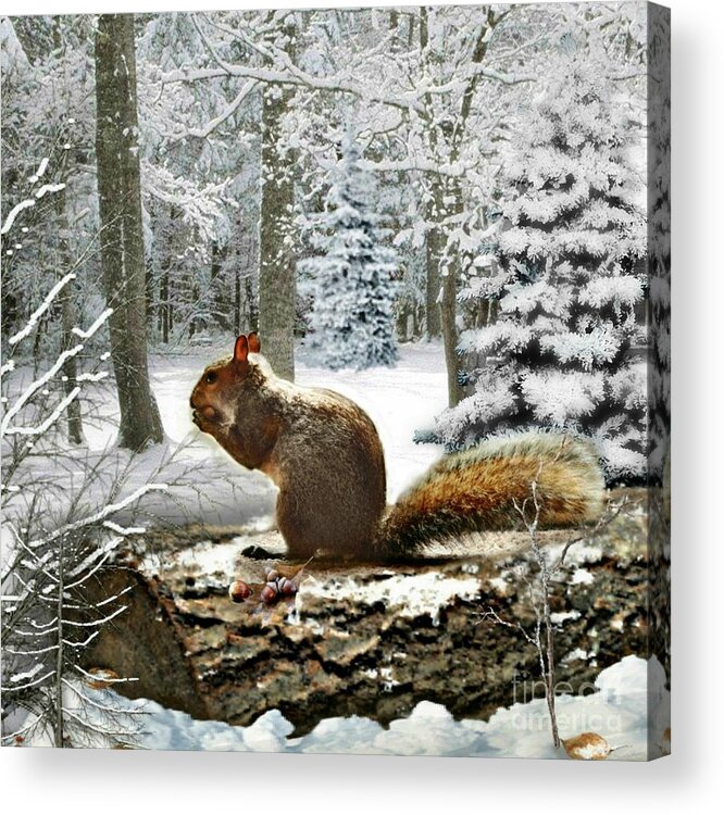 Squirrel Acrylic Print featuring the mixed media Harry in Winter 2 by Morag Bates