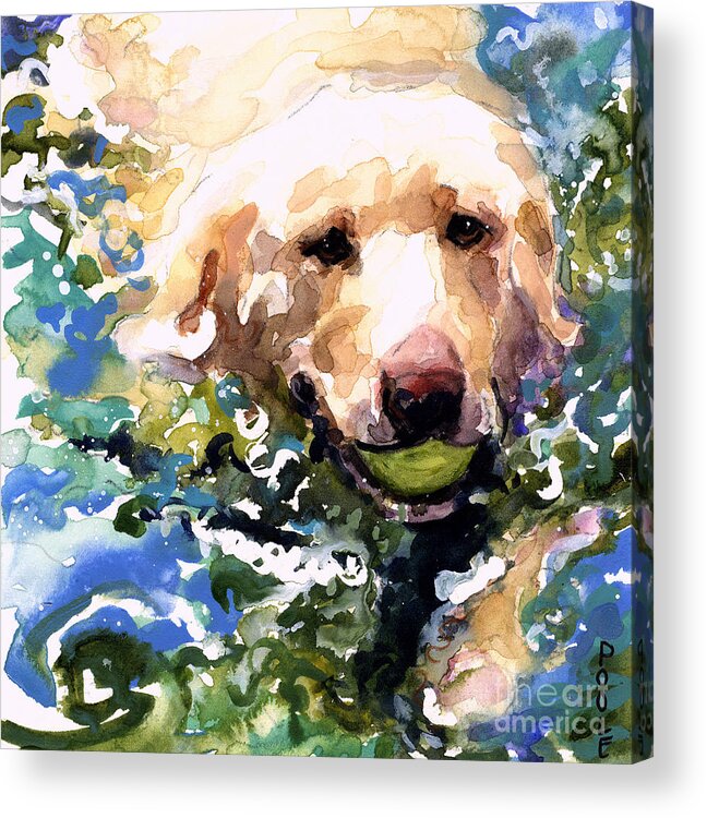 Water Retrieve Acrylic Print featuring the painting Head Above Water by Molly Poole